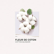 Load image into Gallery viewer, Previous Next   Cotton Flower - 15ml
