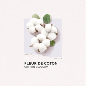 Previous Next   Cotton Flower - 15ml